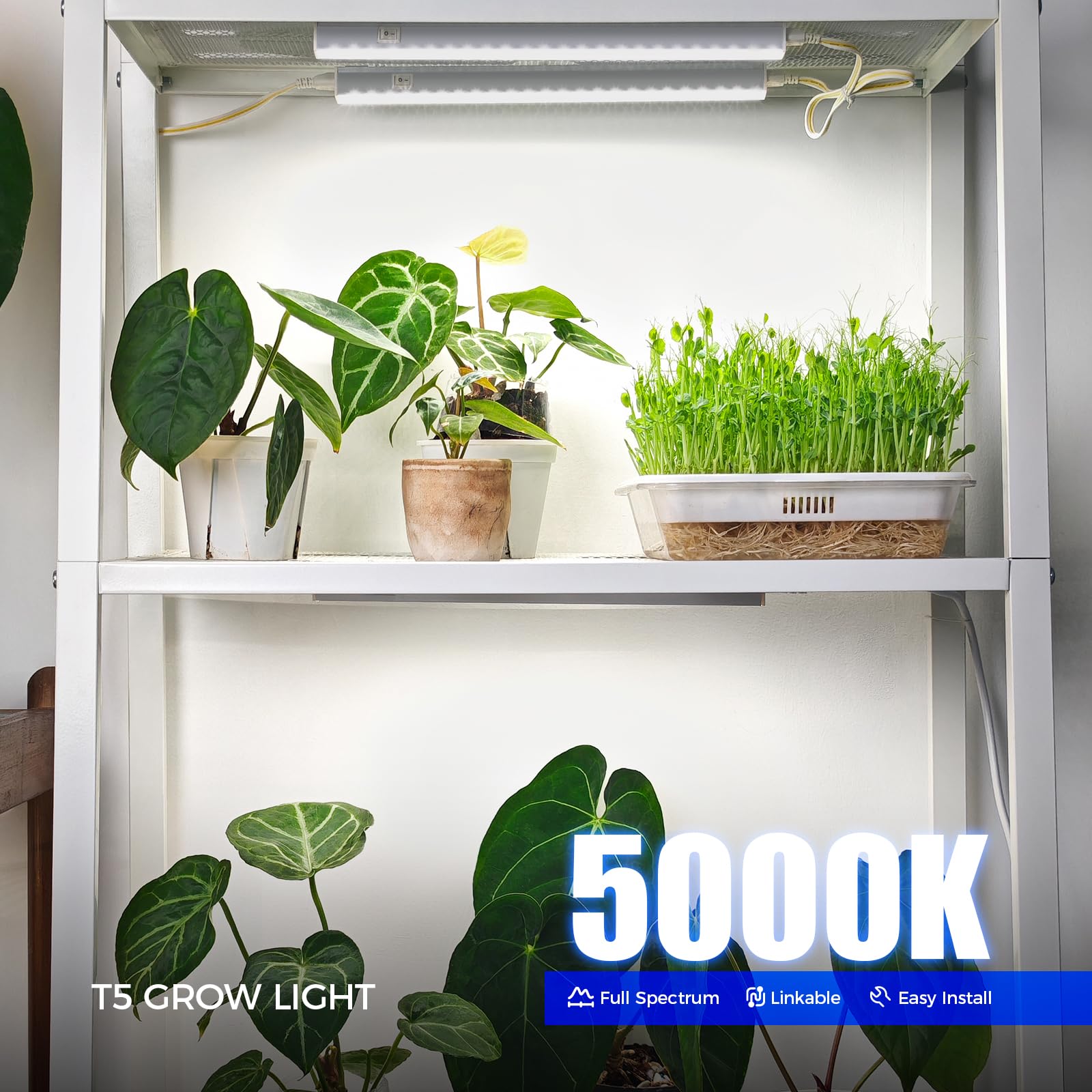 barrina primer plano de LEDs que resalta iluminación eficiente