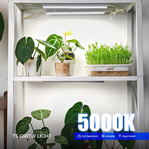 barrina primer plano de LEDs que resalta iluminación eficiente