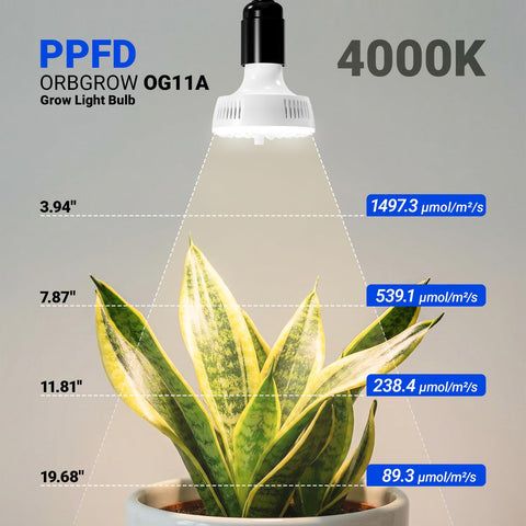 barrina iluminación uniforme en estante para cultivo de varias plantas