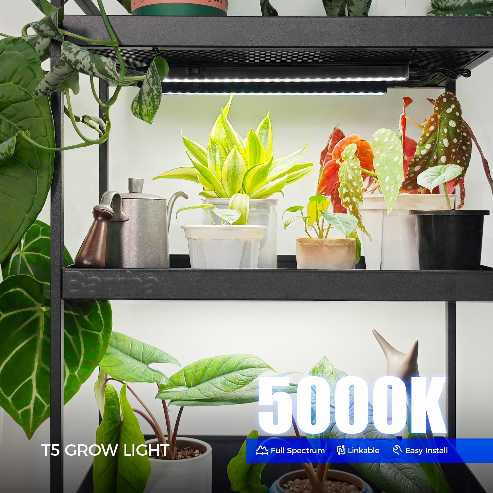 barrina lámparas iluminando plantas de interior para mejor crecimiento