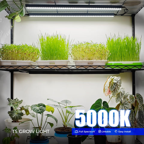 Barrina instalada en estante iluminando plantas con fácil fijación