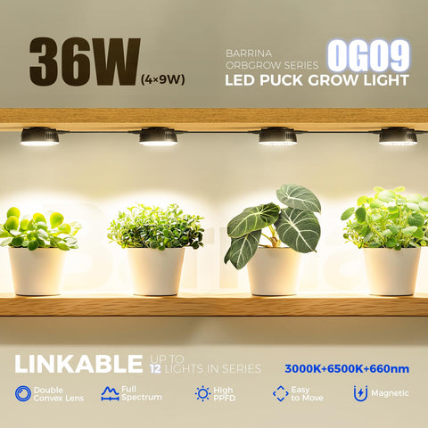 Barrina OG09 primer plano de LEDs y lente que mejora penetración lumínica