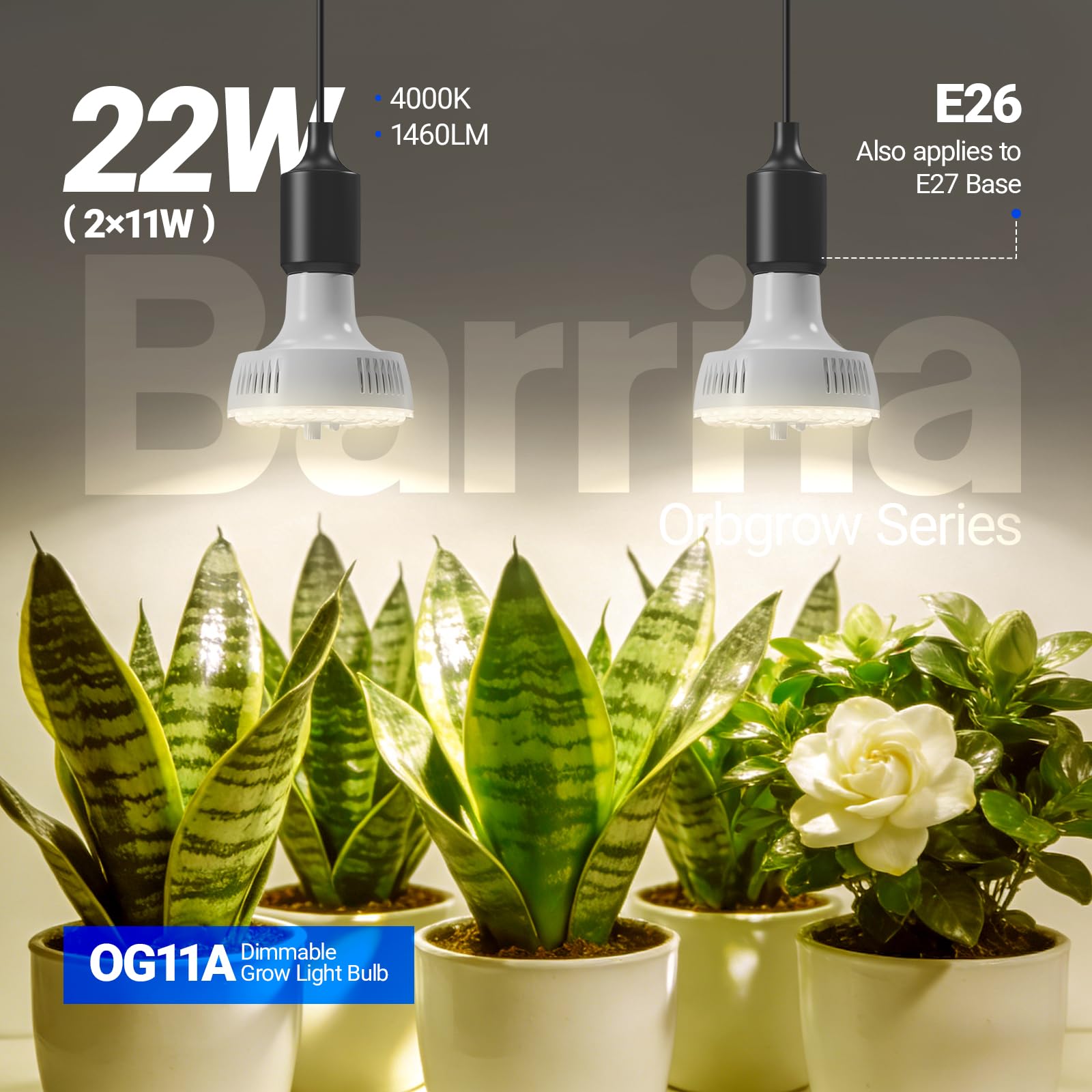 Barrina OG11A panel de controles con atenuador y temporizador integrados