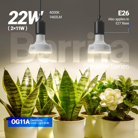 Barrina OG11A panel de controles con atenuador y temporizador integrados
