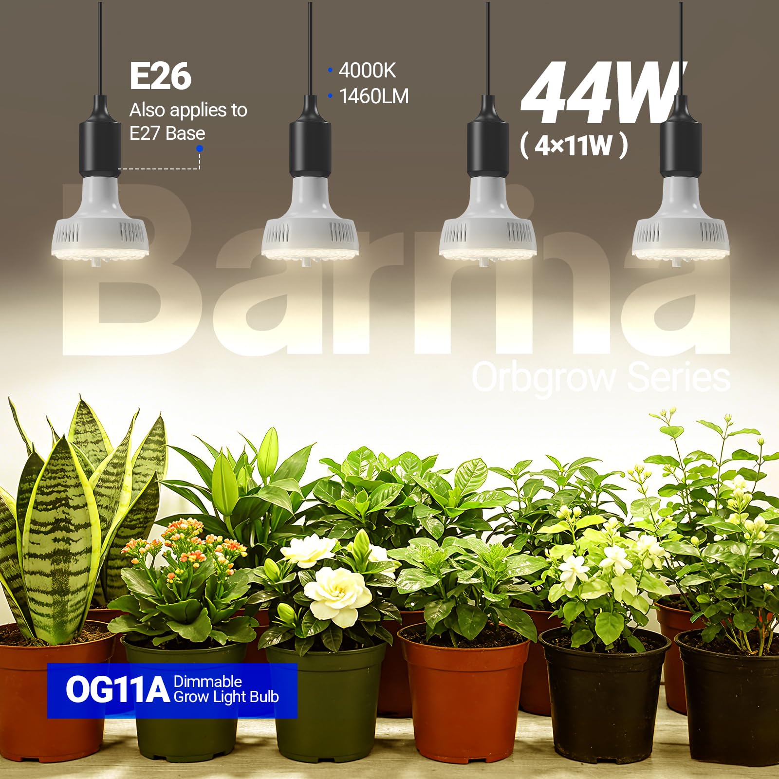 Barrina primer plano de los 36 chips LED, alta eficiencia para luz uniforme