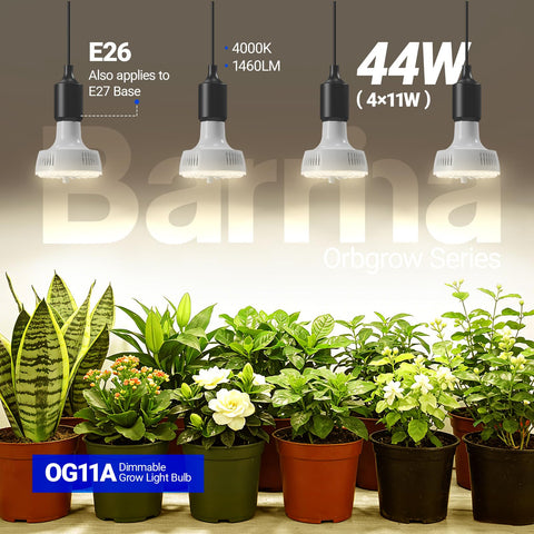 Barrina primer plano de los 36 chips LED, alta eficiencia para luz uniforme