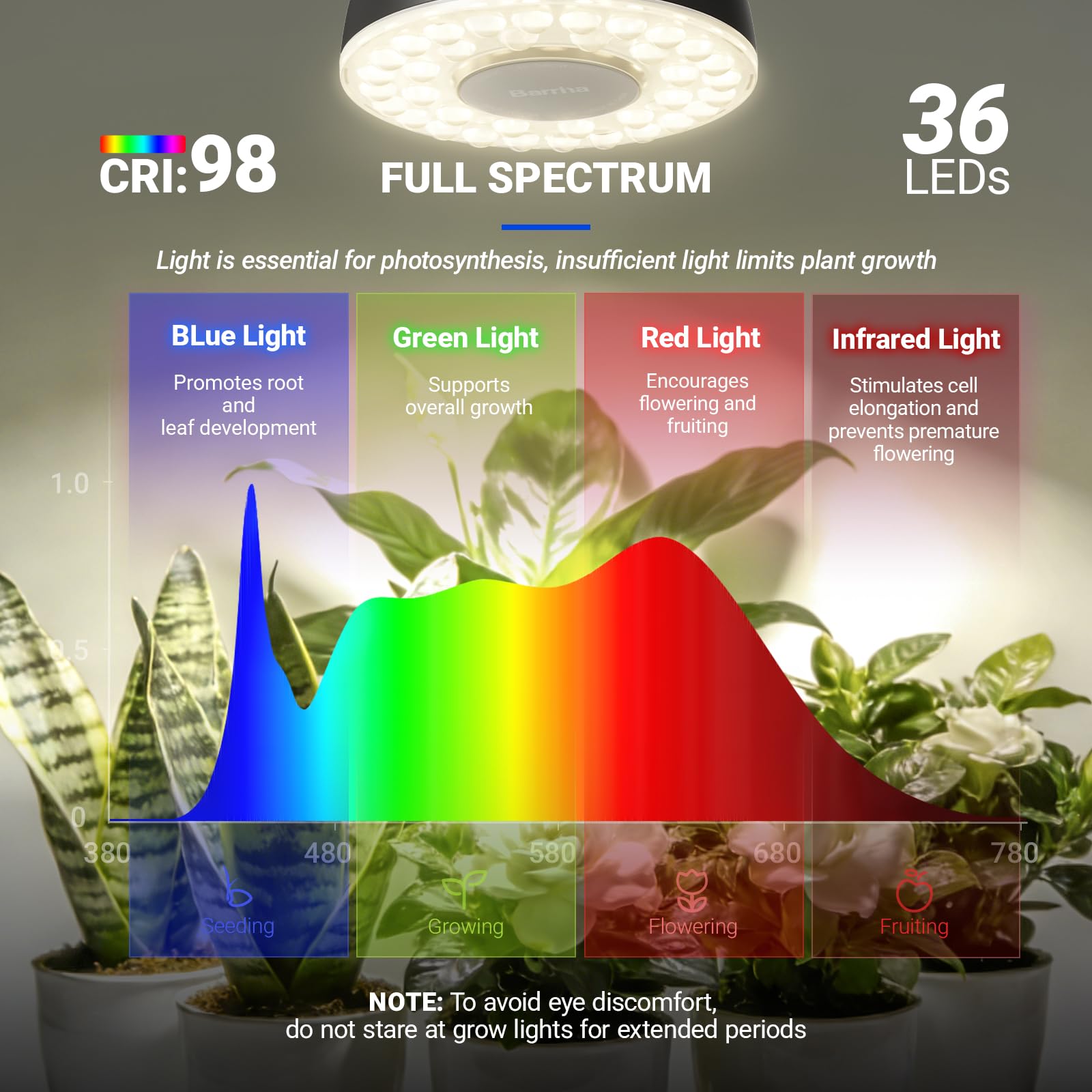Barrina Orbgrow OG03C junto a regla para mostrar tamaño compacto y escala real