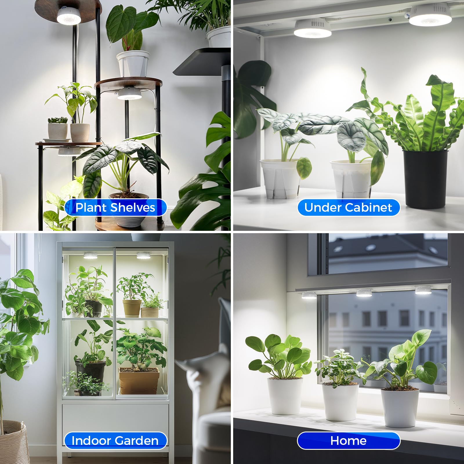 Barrina Orbgrow OG09 dentro de propagador iluminando plántulas sanas