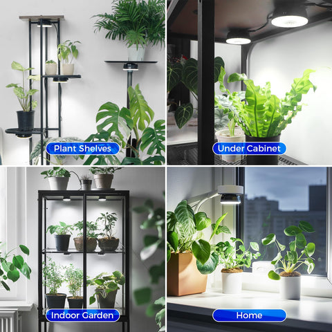 Barrina Orbgrow OG09 instalada en estantería iluminando varias plantas en filas