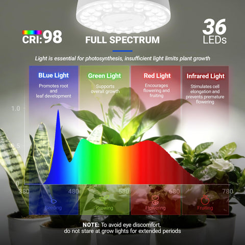 Barrina soporte de pared con rotación 360° para orientar la luz