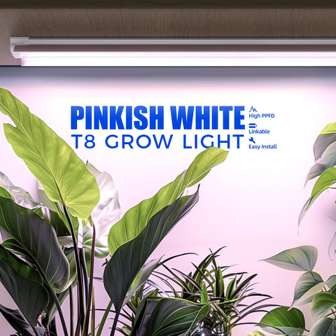 Barrina primer plano de LEDs mostrando mezcla full spectrum y eficiencia