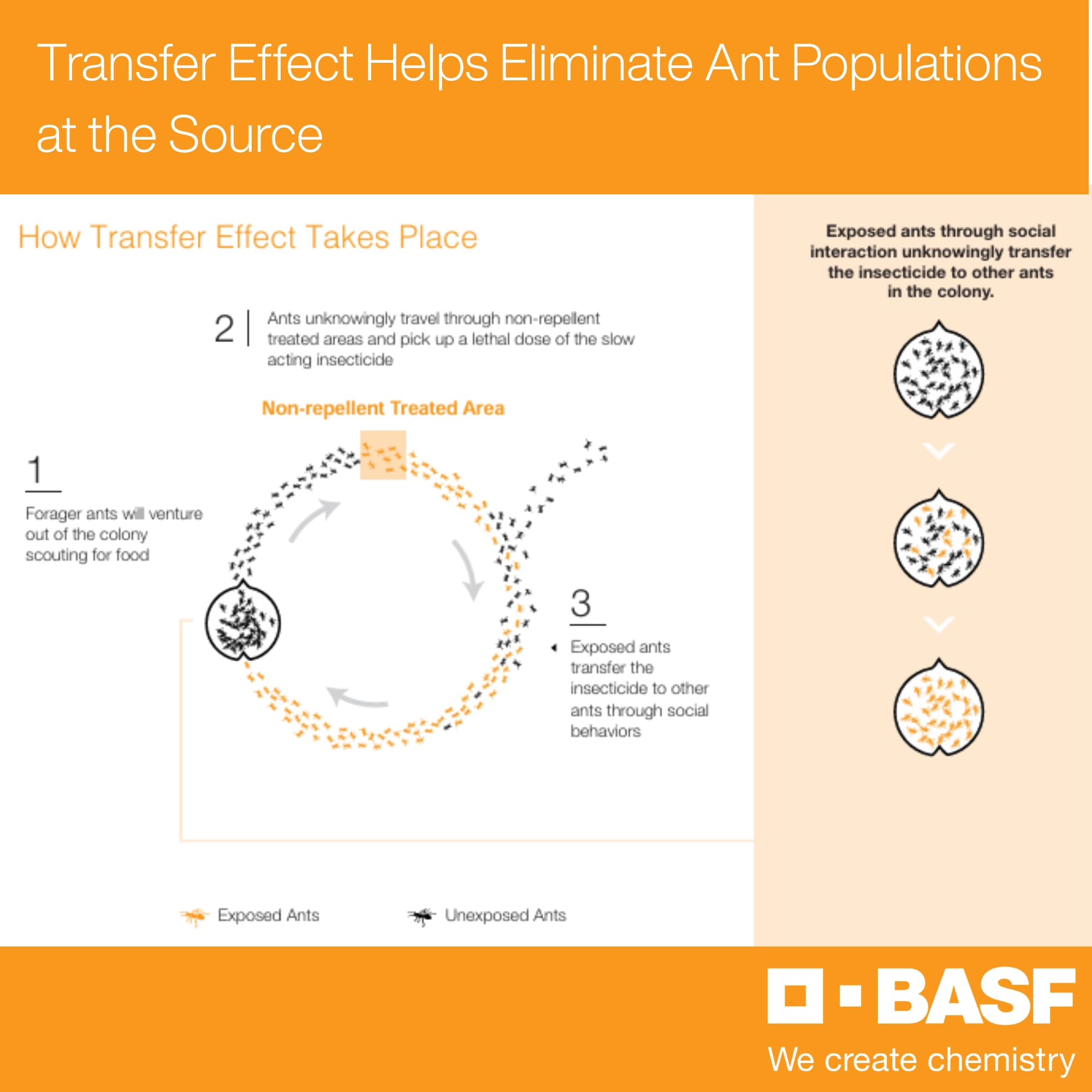 BASF Alpine WSG aplicación con pulverizador para control eficaz de plagas