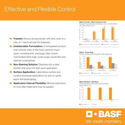 BASF Alpine WSG botella junto a objeto que muestra tamaño y cantidad