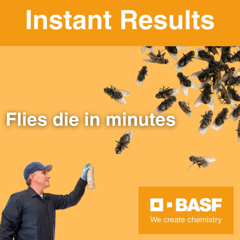 BASF PT Alpine usado en borde de contenedor para atraer moscas y reducir plaga