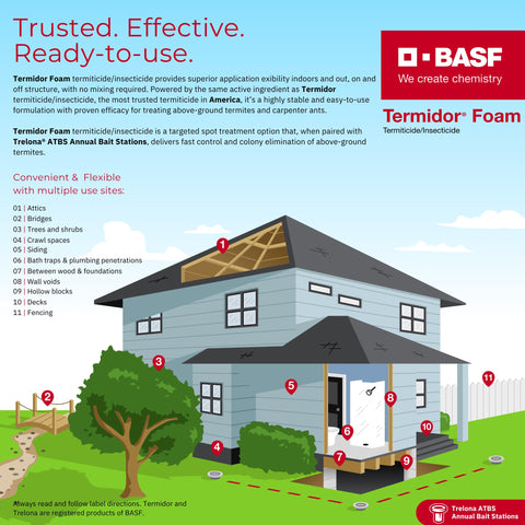 BASF Termidor Foam espuma seca expandida mostrando textura duradera