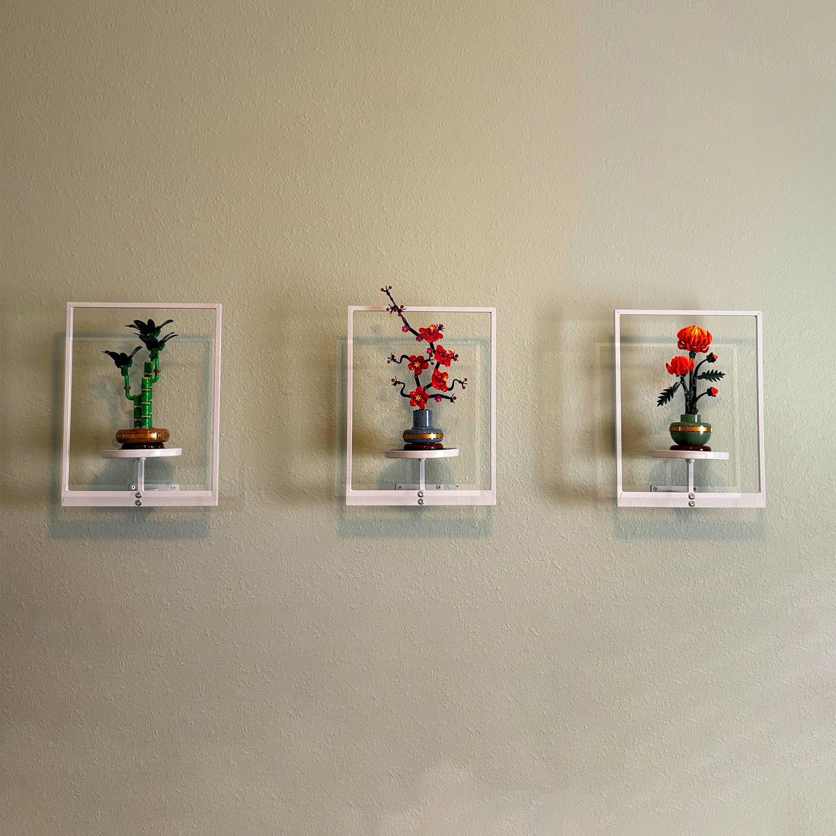 bbteroiu composición mural con diversas plantas, aspecto estético