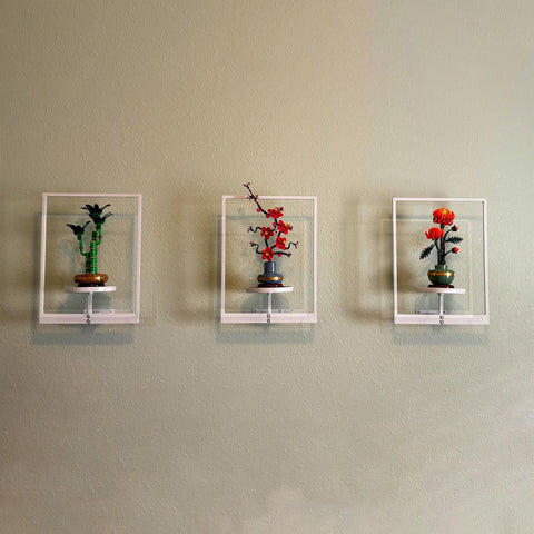 bbteroiu composición mural con diversas plantas, aspecto estético