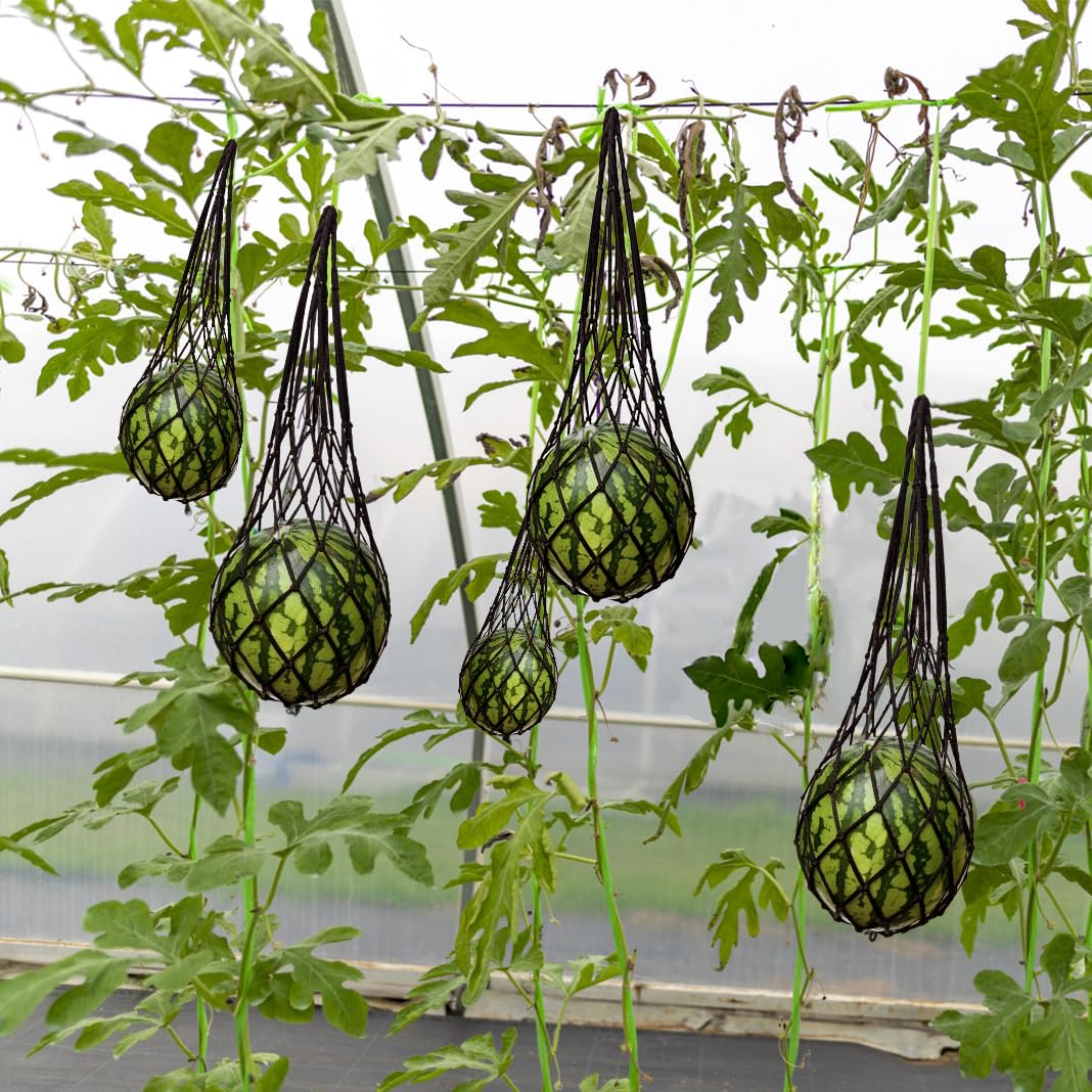 Belit bolsa sujeta una sandía en cultivo vertical previniendo caídas