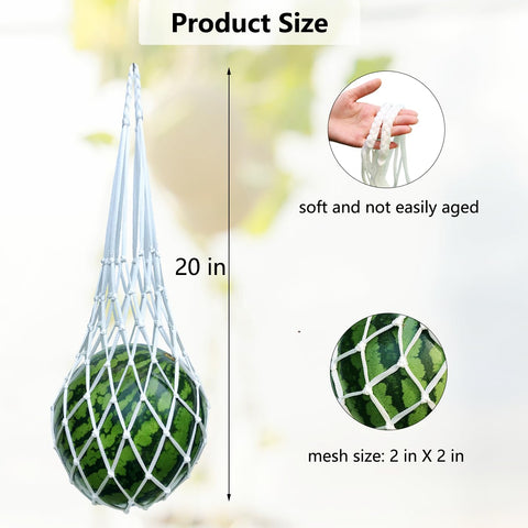 Belit uso como almacenamiento alternativo para frutas y objetos