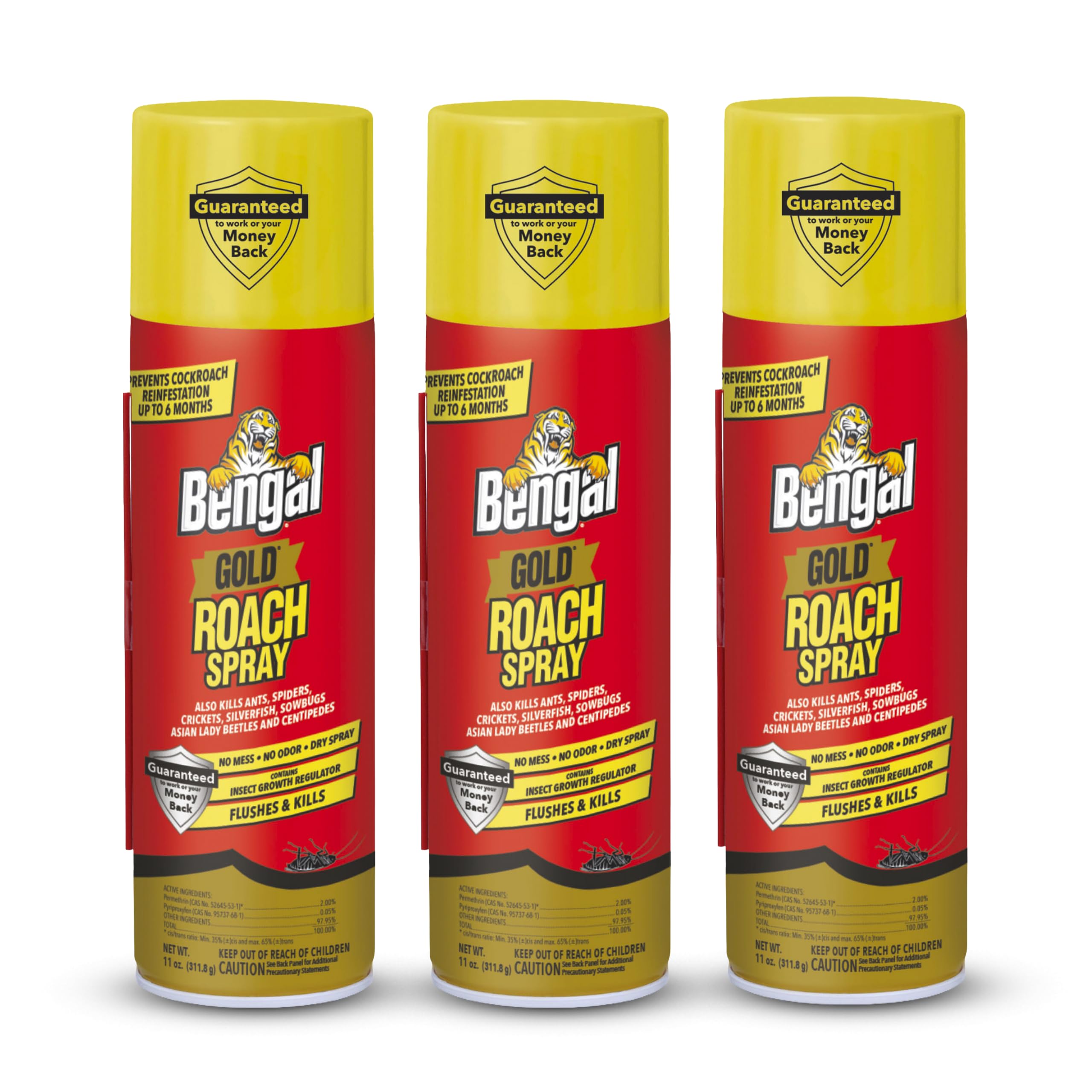 Bengal envase frontal mostrando rendimiento interior sin manchas
