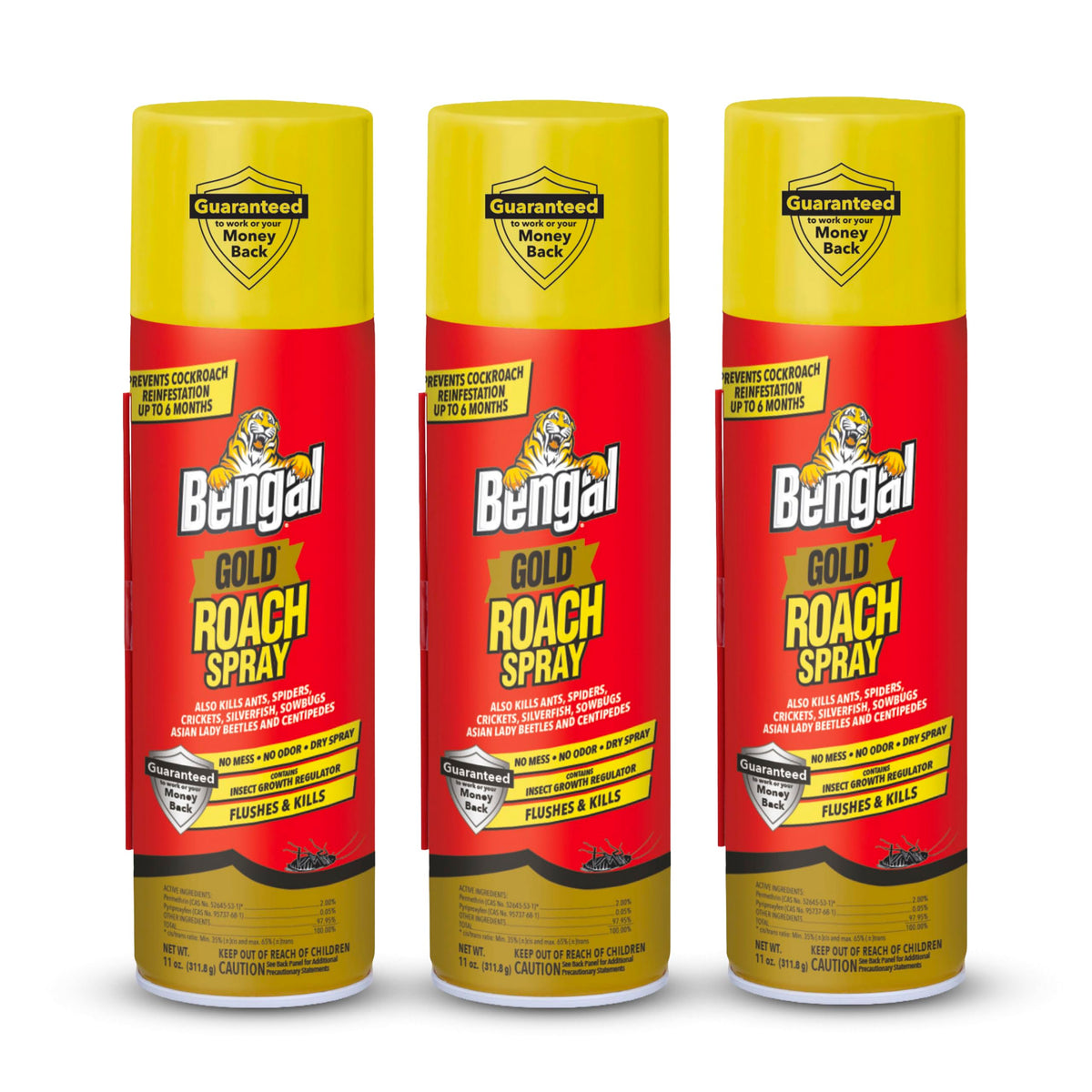 Bengal envase frontal mostrando rendimiento interior sin manchas