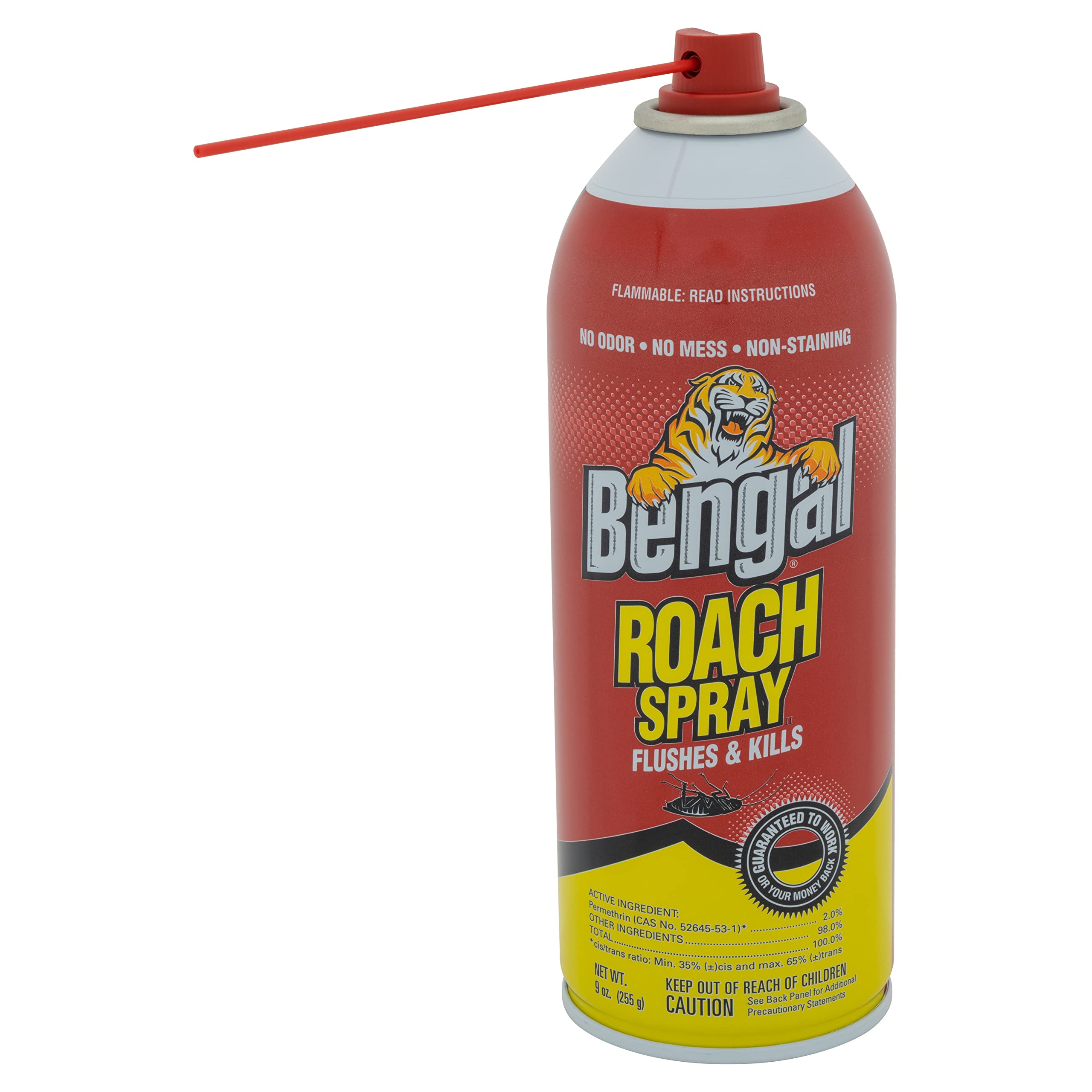 Bengal aplicando en zócalo para eliminar cucarachas en escondites