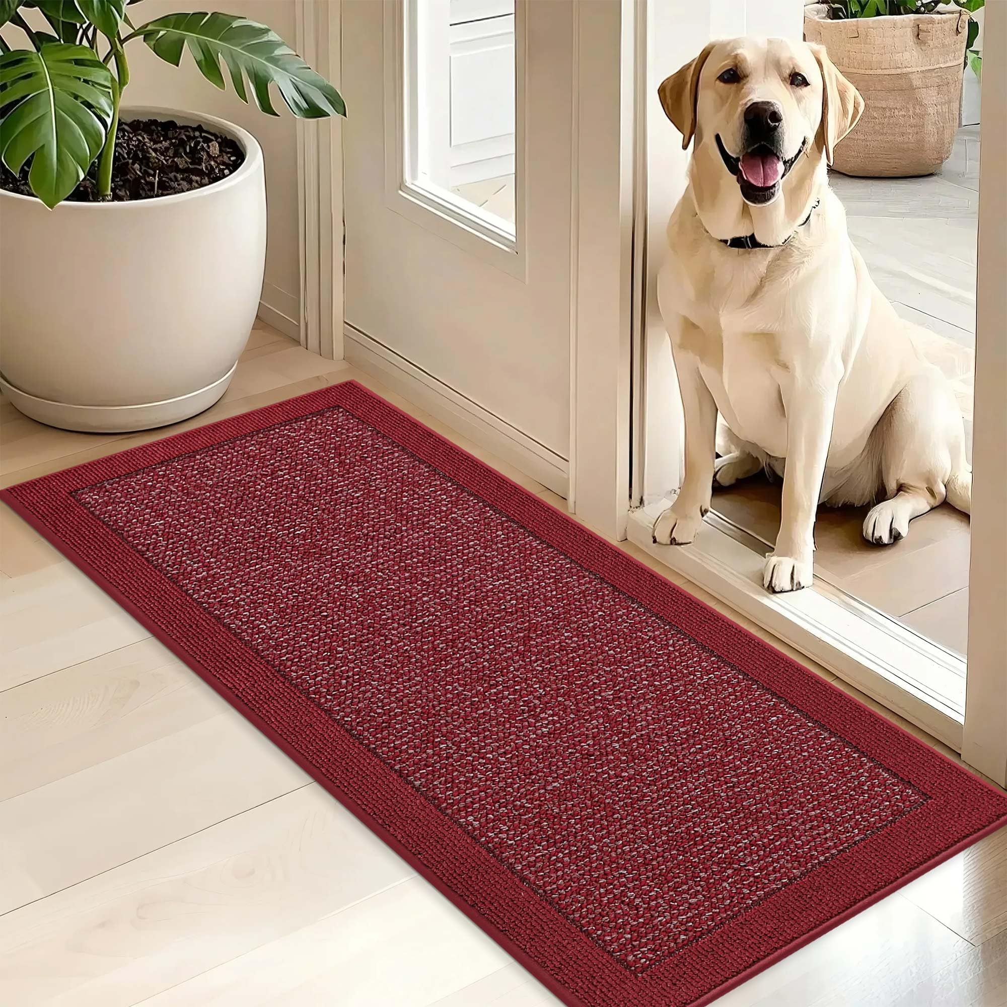 BEQHAUSE felpudo frontal rojo, aspecto elegante y captura suciedad