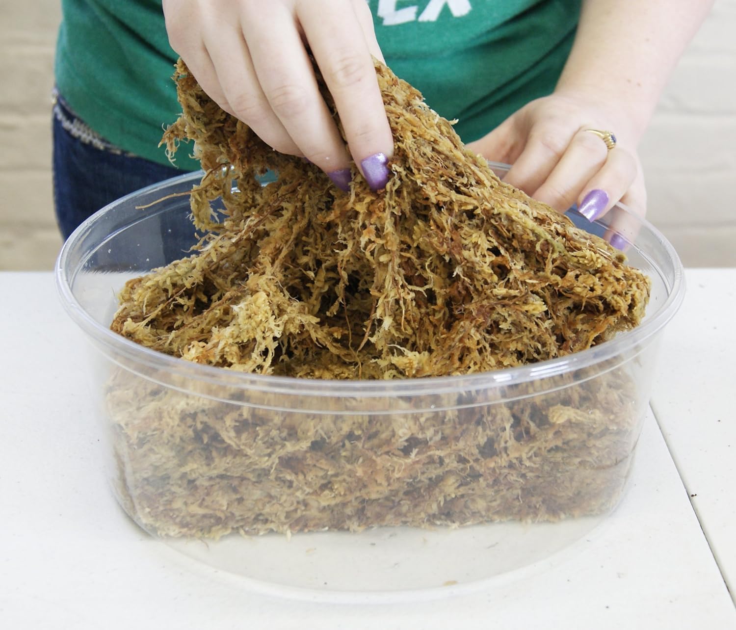besgrow musgo hidratado en mano mostrando expansión y retención