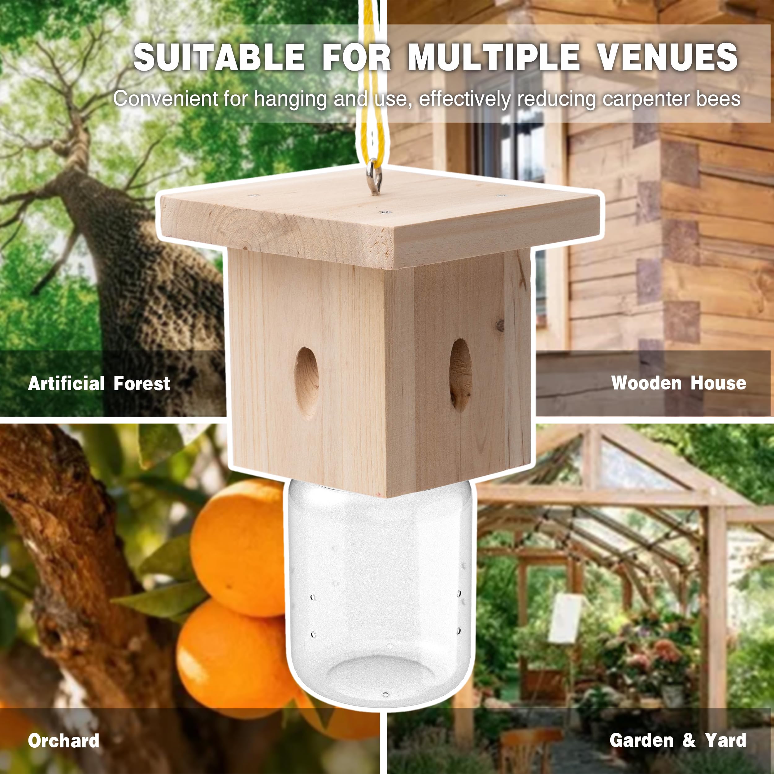 Best Bee Trap colgada en alero, protege madera del hogar