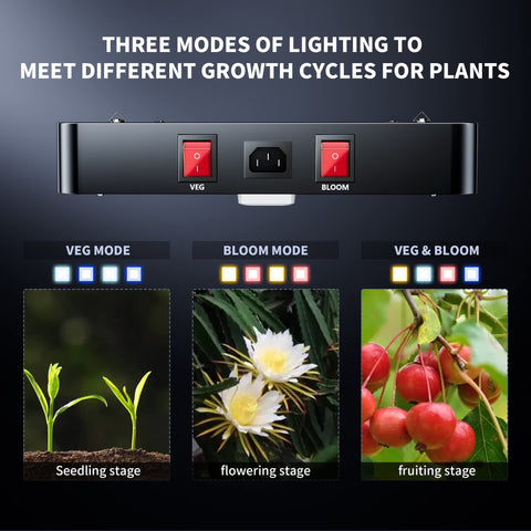 BESTVA DC1000 iluminando macetas con hierbas para crecimiento sano