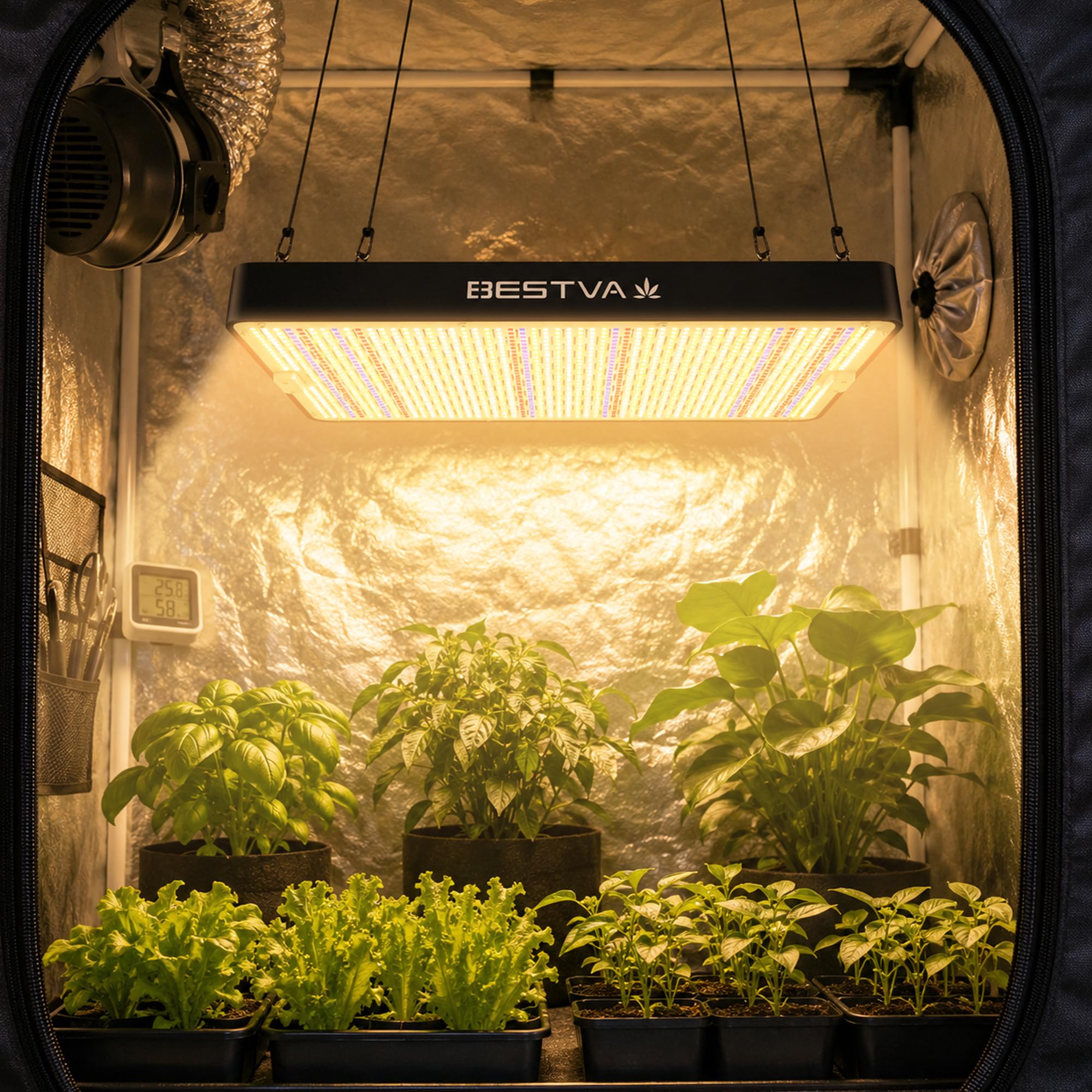 BESTVA DC1000 vista superior mostrando distribución homogénea de LEDs