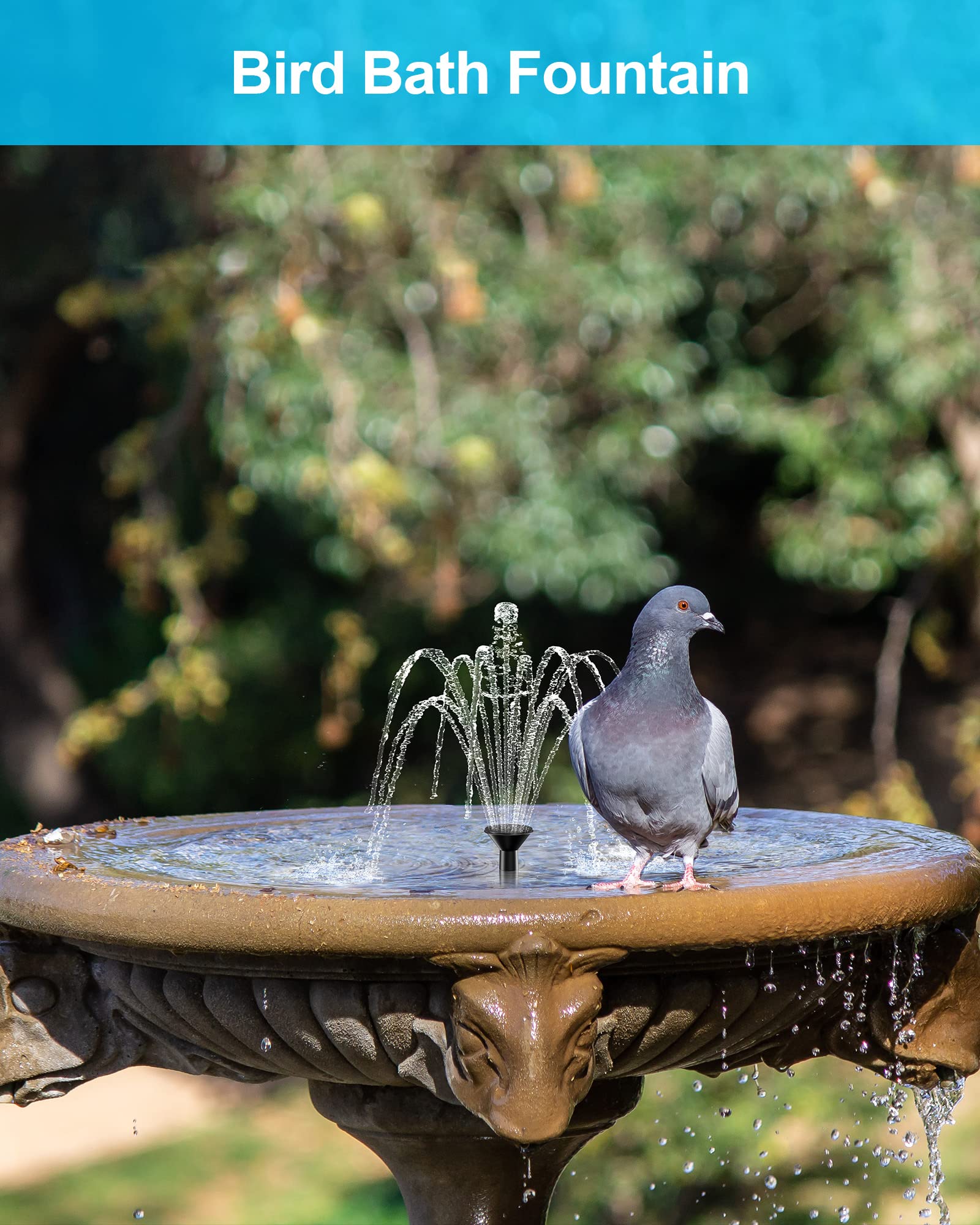 Biling en jardín con pájaros, mejora estética y circulación