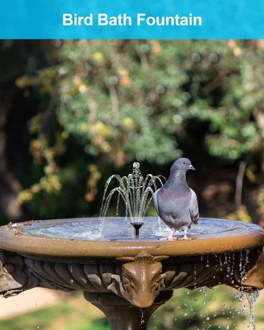 Biling en jardín con pájaros, mejora estética y circulación