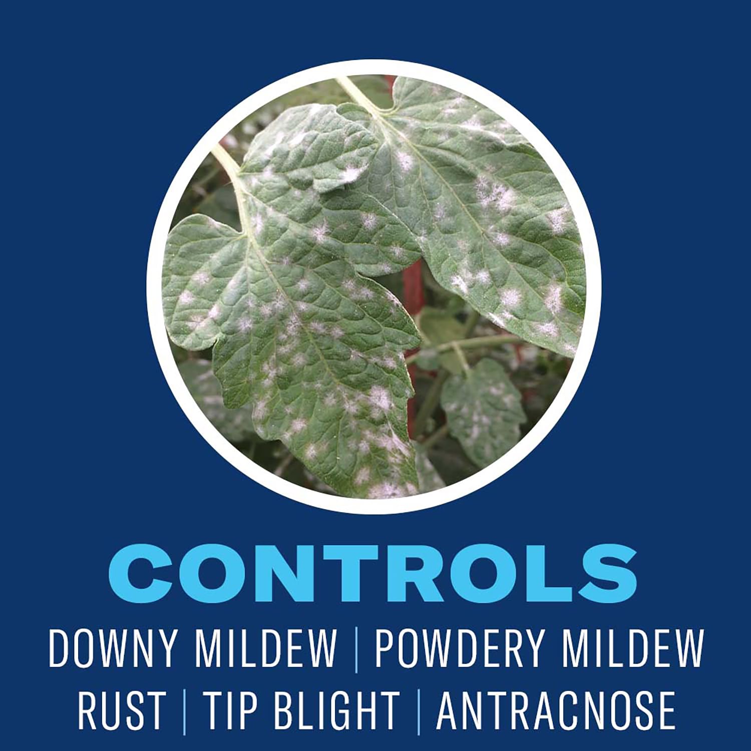 BioAdvanced pulverizando planta para control rápido de insectos