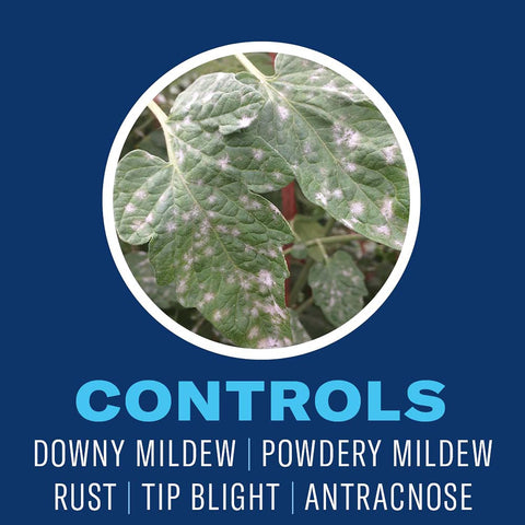 BioAdvanced pulverizando planta para control rápido de insectos