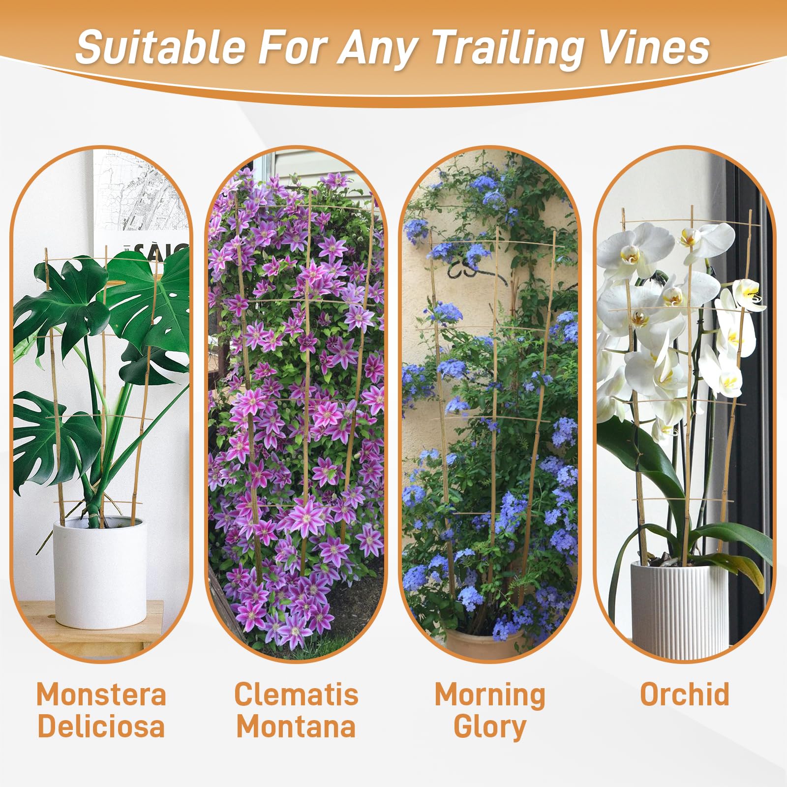 Biotolot en terraza con plantas, integración estética y práctica
