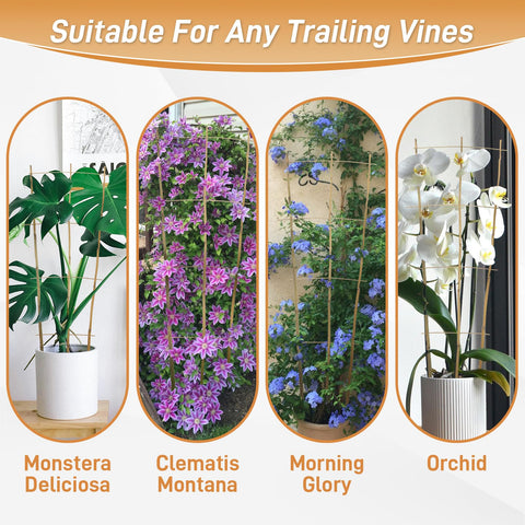 Biotolot en terraza con plantas, integración estética y práctica