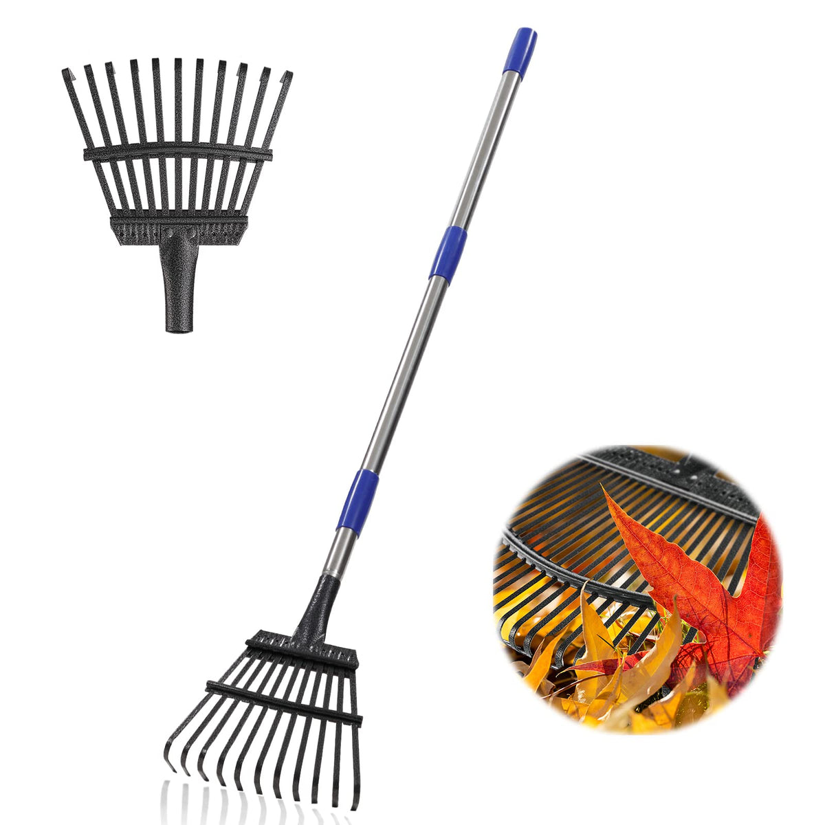 Bird Twig rastrillo frontal mostrando cabeza angosta y mango resistente