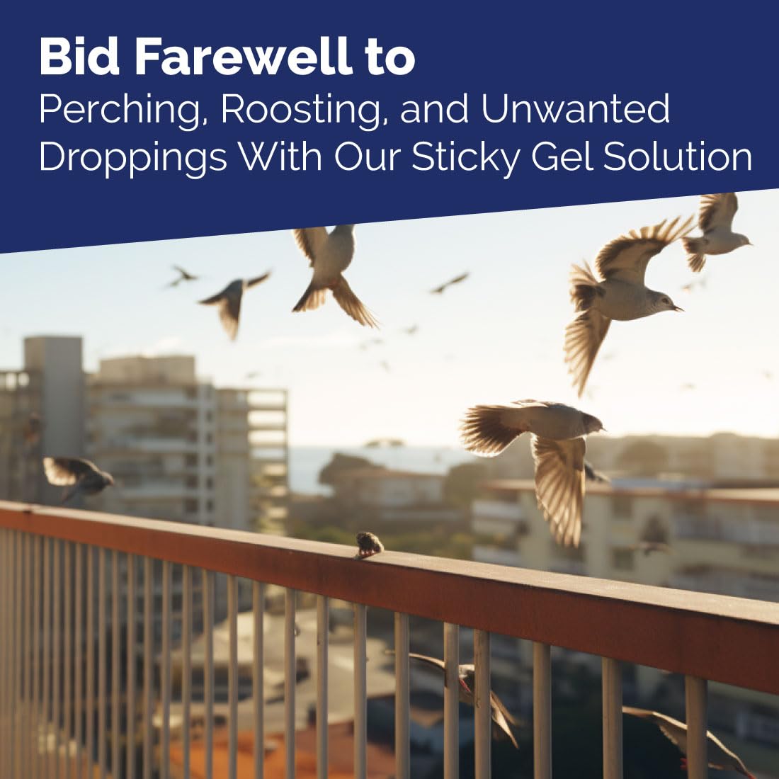 Bird-X gel protegiendo alero urbano, mantiene fachada limpia