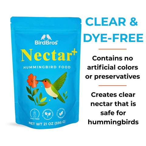 BIRDBROS alimentador lleno en jardín atrayendo colibríes eficientemente