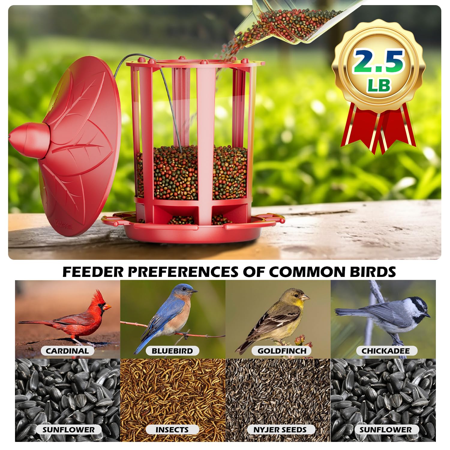 Birdream comedero panel transparente que permite ver el nivel de semillas