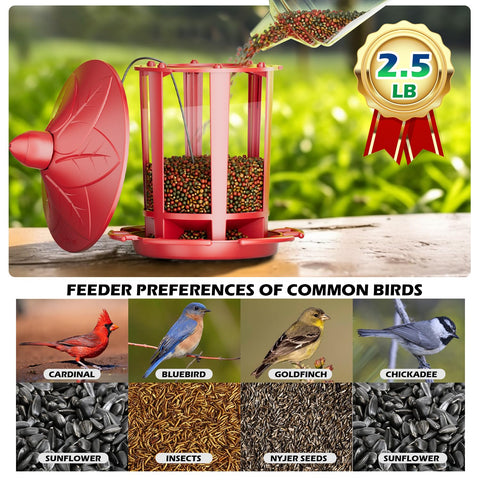 Birdream comedero panel transparente que permite ver el nivel de semillas