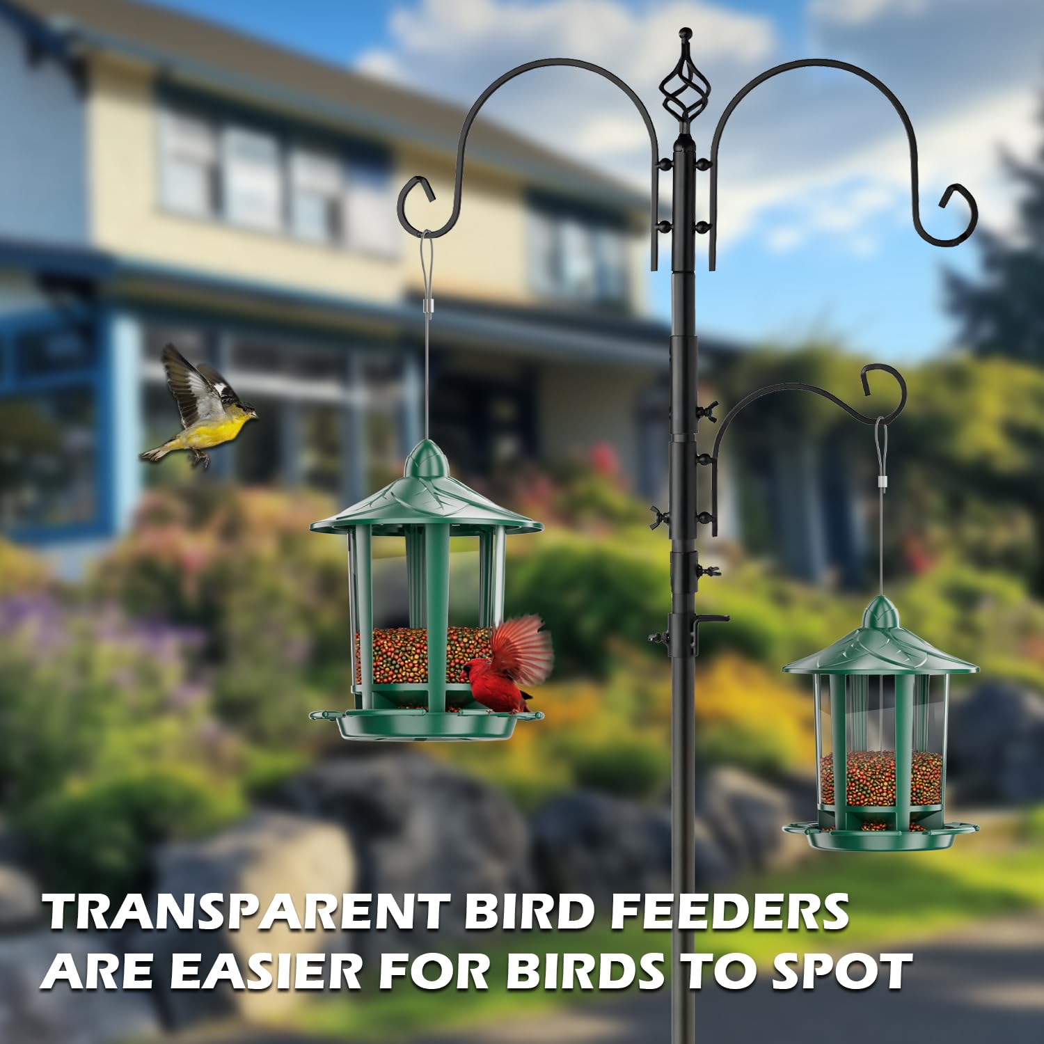 Birdream comedero pack dos colgados maximiza diversidad de aves
