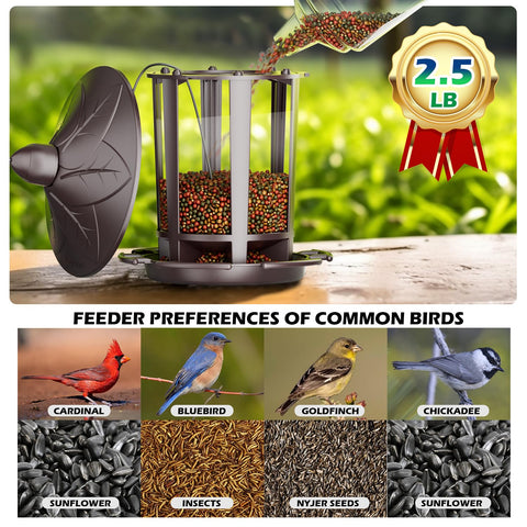 Birdream comedero panel transparente, permite comprobar semillas fácilmente