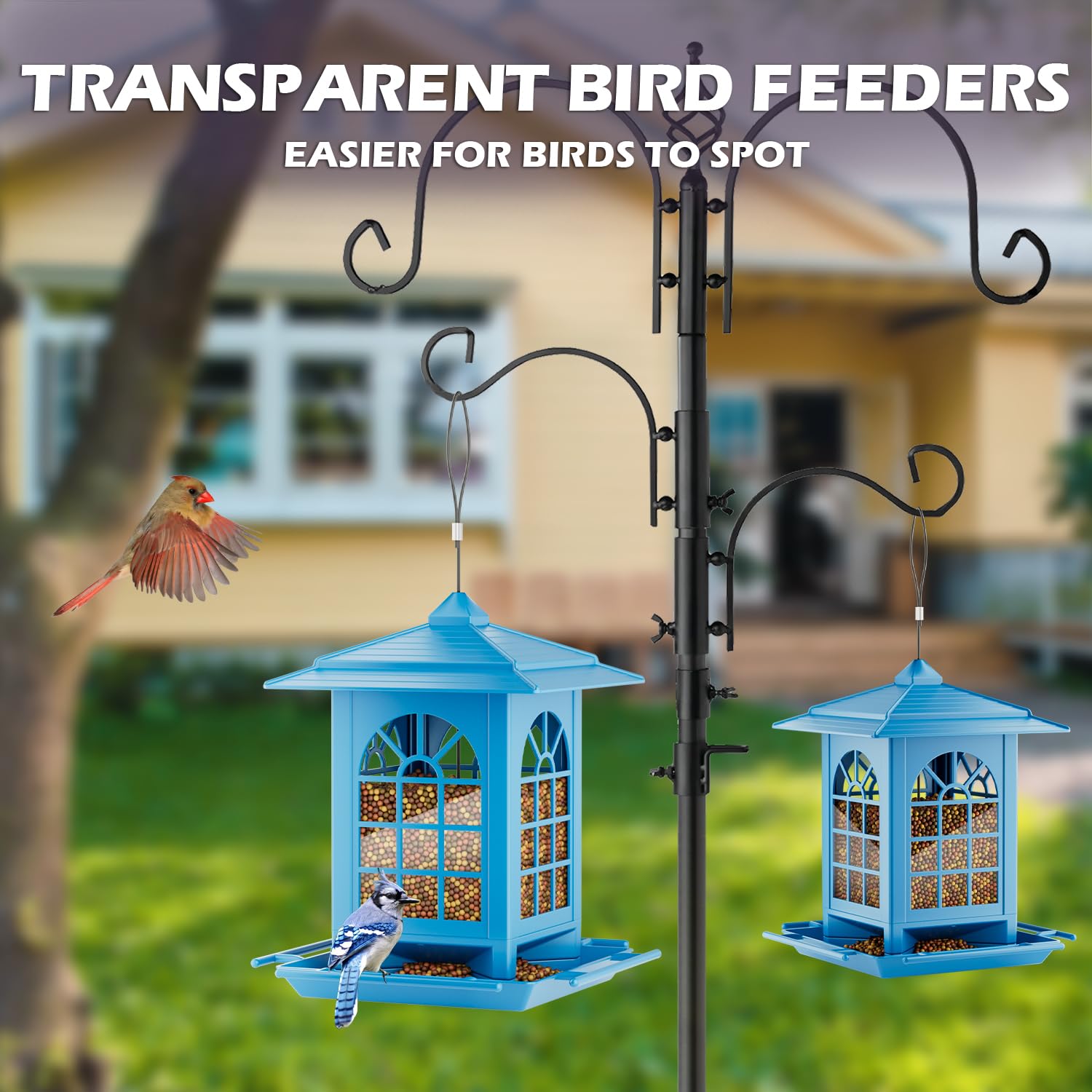 Birdream en jardín con aves para crear ambiente natural