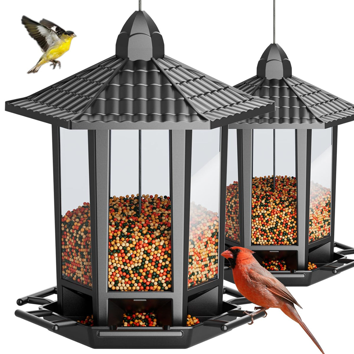 Birdream comedero pagoda frontal mostrando diseño atractivo y fácil acceso para aves