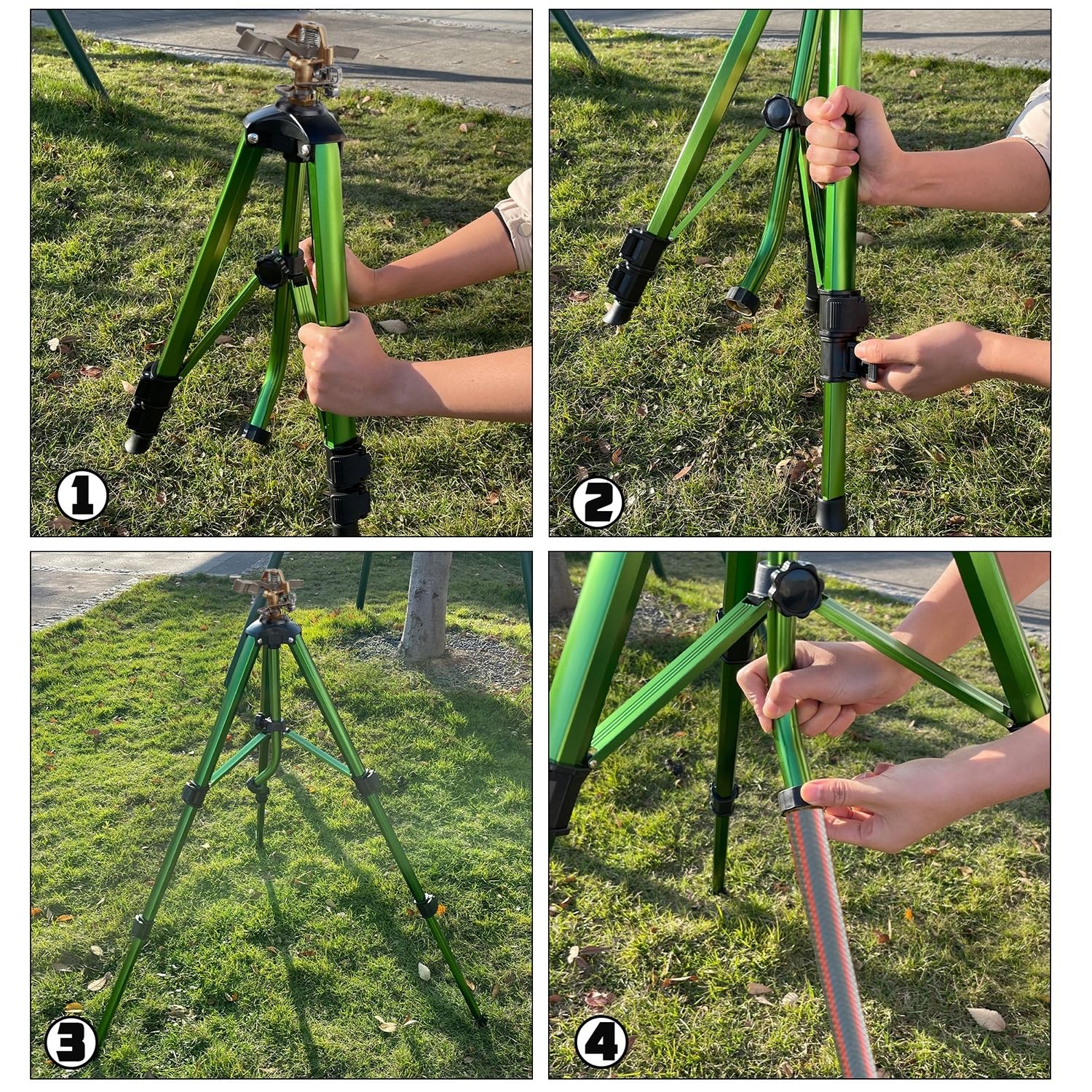 Biswing aspersor junto a persona para comparar tamaño y alcance