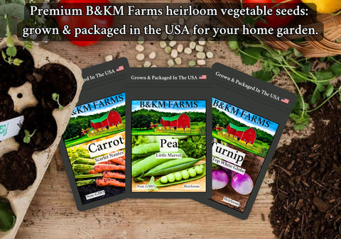 B&KM Farms huerto en cosecha mostrando rendimiento y verduras frescas