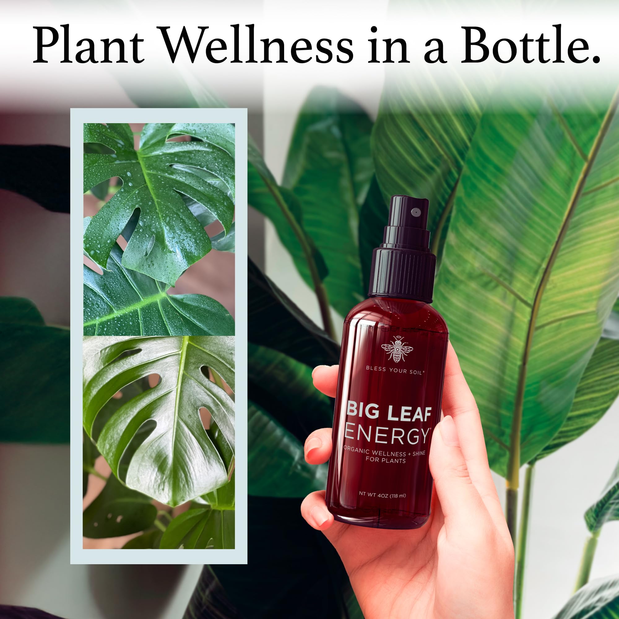 BLESS YOUR SOIL etiqueta con ingredientes naturales y origen en EE. UU. beneficios
