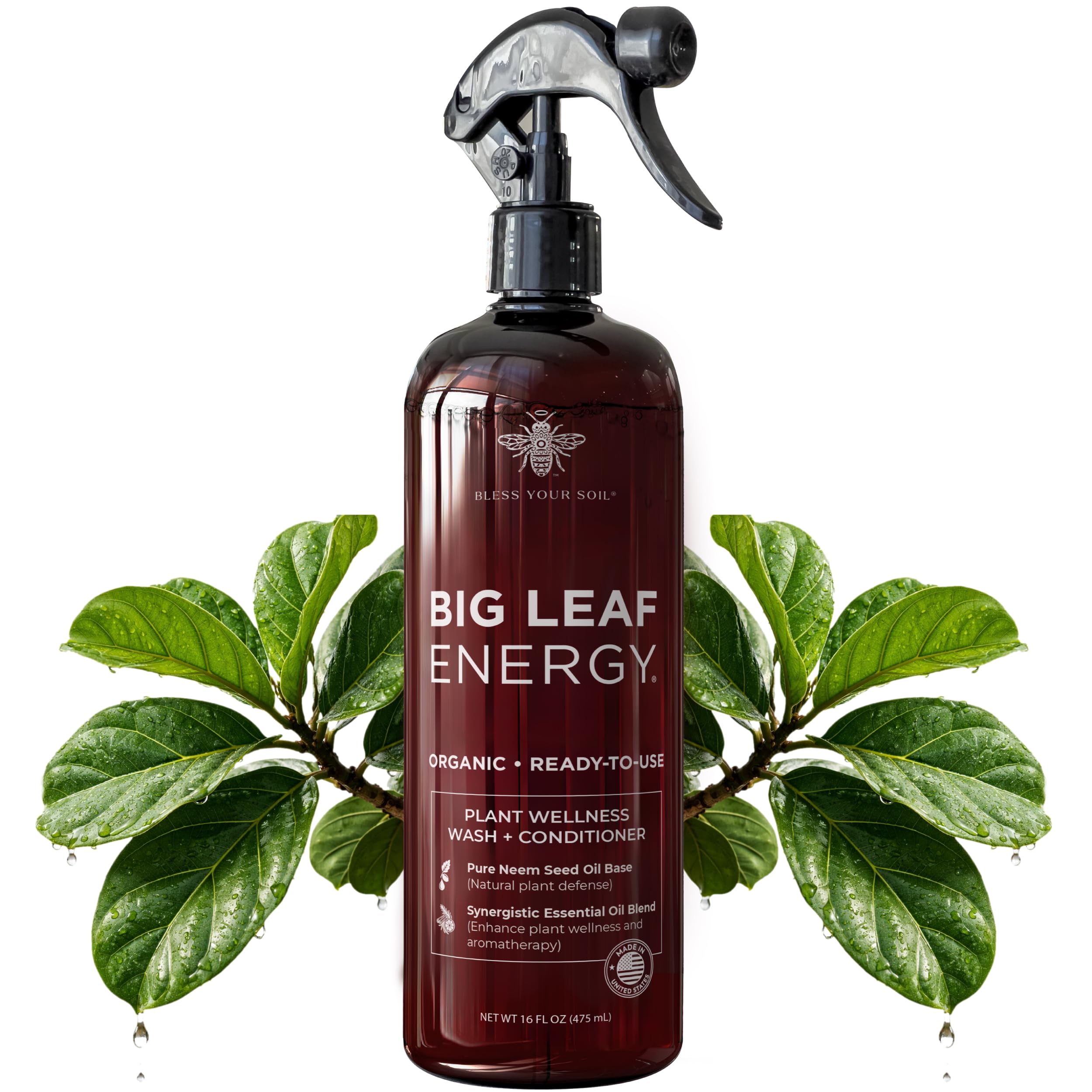 BLess Your Soil botella frontal mostrando etiqueta y beneficio protector